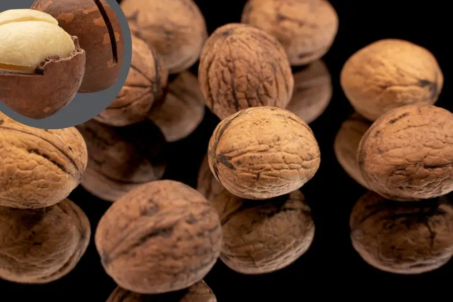 Round Nuts